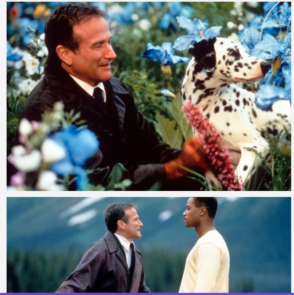 What Dreams May Come DVD Robin Williams - Picture 6 of 7